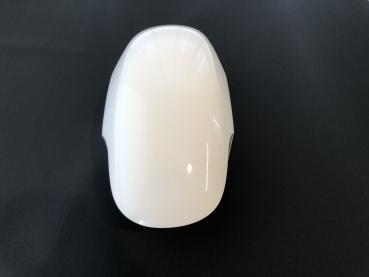 GFK - Frontfender Harley Milwaukee-Eight Softail Fat Boy ab 2018